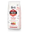 Brit Fresh Junior Large Breed Beef & Pumpkin - 12kg