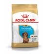 Royal Canin Dachshund Puppy 1,5kg