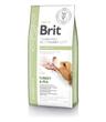Brit Veterinary Diets Dog GF Diabetes Turkey & Pea 12kg