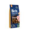 Brit Premium By Nature Adult M 15kg