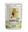Canvital z czosnkiem - 150 tabletek