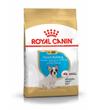 Royal Canin French Bulldog Puppy 1kg